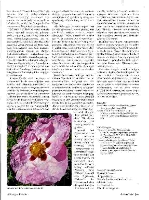 Vorschauseite 2: Cistus legt Viren lahm
