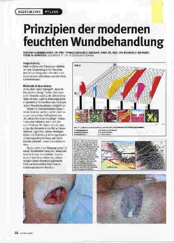 Vorschauseite 1: Prinzipien der modernen feuchten Wundbehandlung