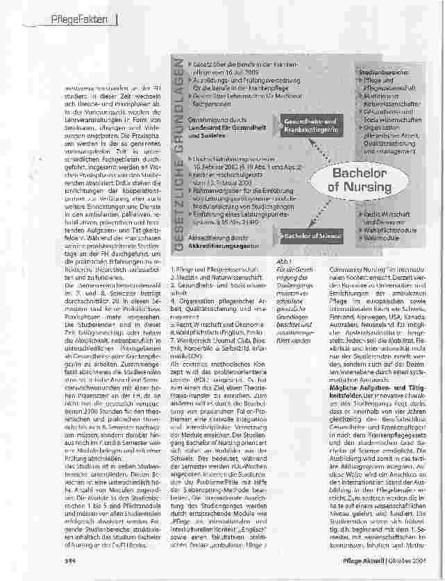 Vorschauseite 3: Bachelor of NursingAusbildung