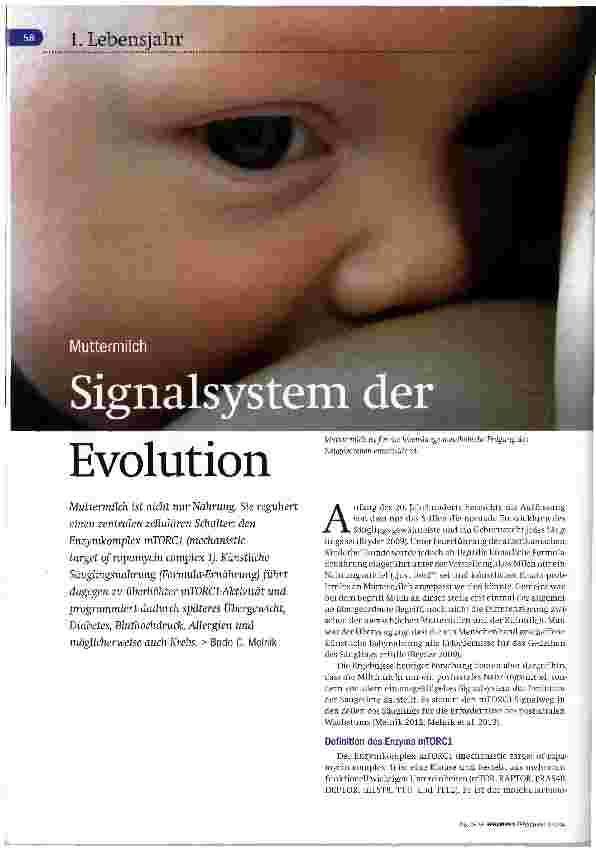 Vorschauseite 1: Signalsystem der Evolution