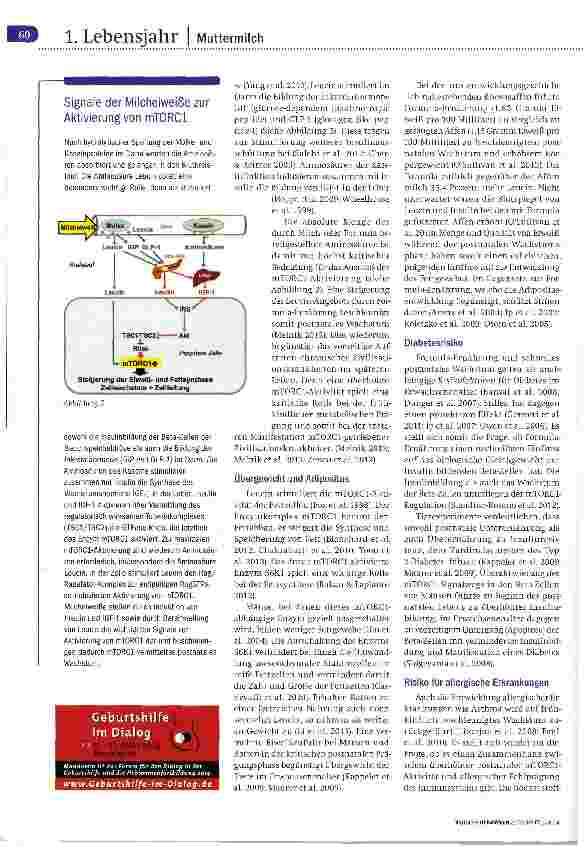 Vorschauseite 3: Signalsystem der Evolution