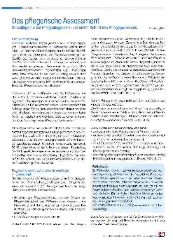 Vorschauseite 1: Das pflegerische Assessment