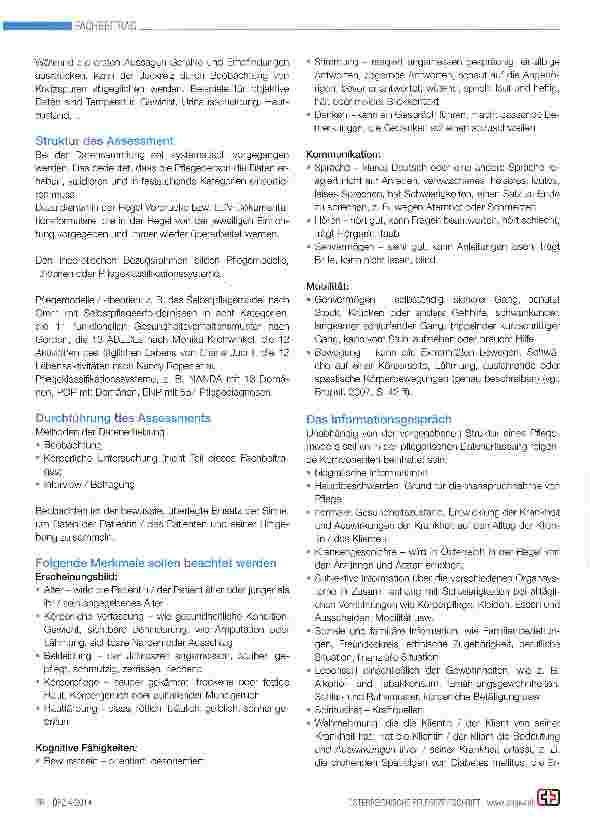 Vorschauseite 3: Das pflegerische Assessment