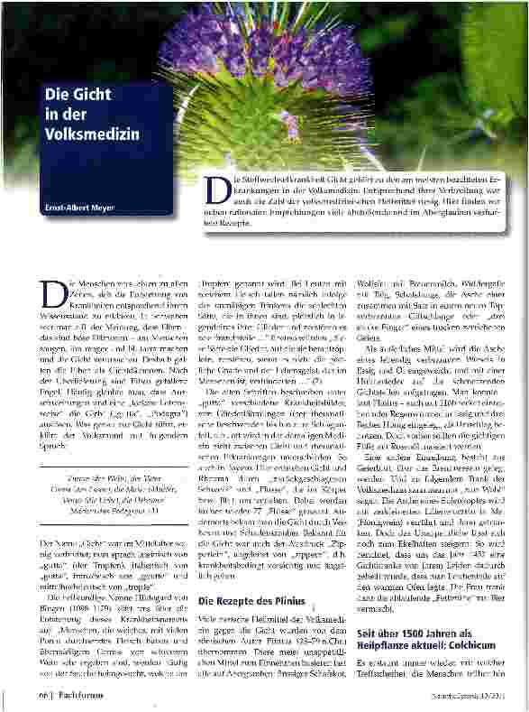 Vorschauseite 1: Die Gicht in der Volksmedizin