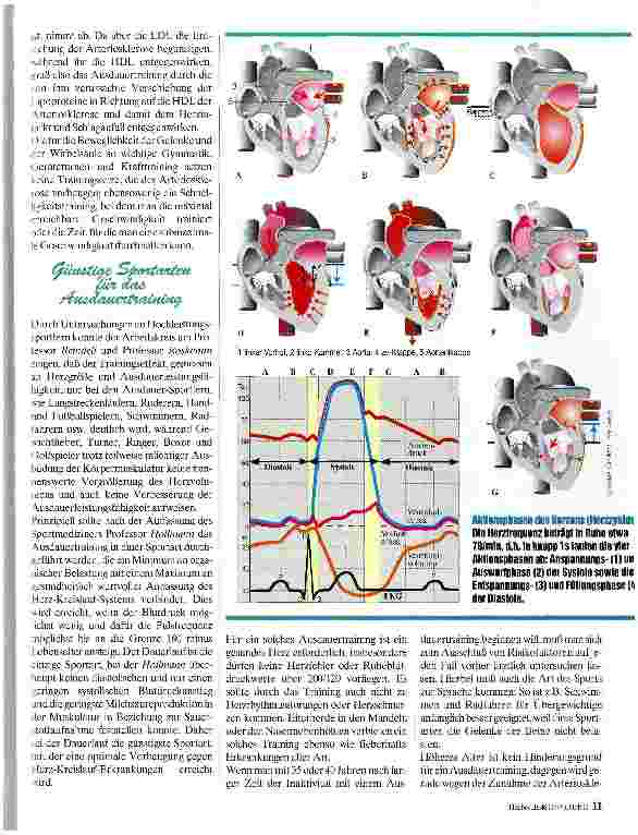 Vorschauseite 2: Sport als Prophylaxe und Therapie Funktionseinbußen vermeiden