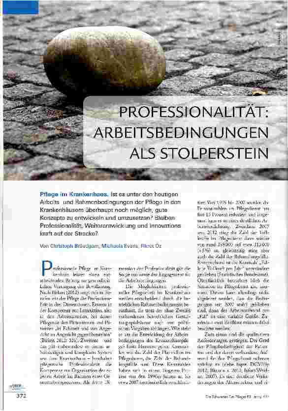 Vorschauseite 1: Professionalität: Arbeitsbedingungen als Stolpersteine
