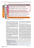 Vorschauseite 6: Data Literacy als neue Schlüsselkompetenz. Welche Rolle haben Bibliotheken?