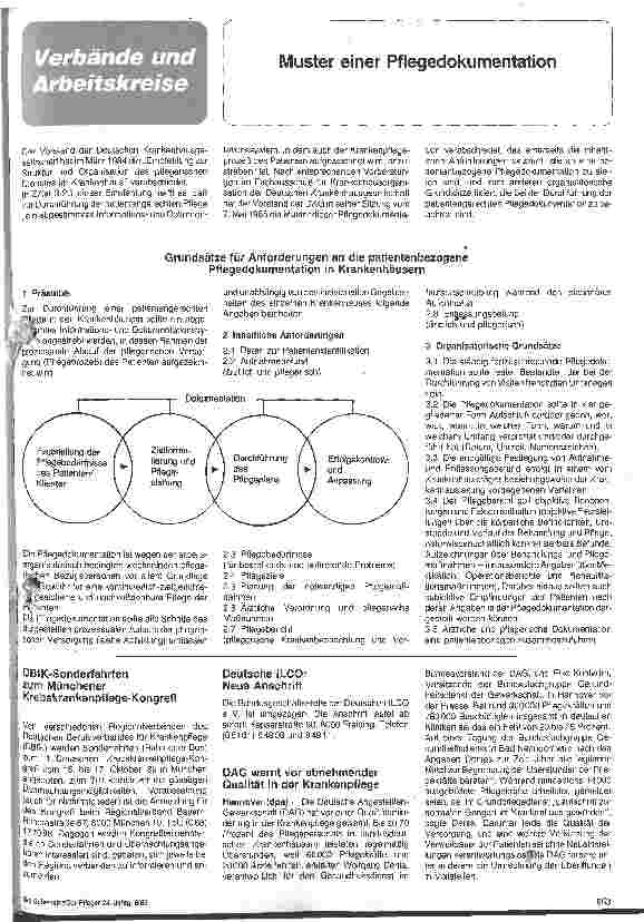 Vorschauseite 1: Muster einer Pflegedokumentation- Grundsätze für Anforderungen an die patientenbezogene Pflegedokumentation in Krankenhäusern