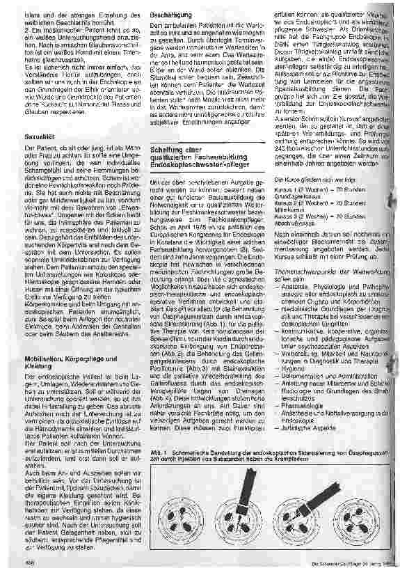 Vorschauseite 4: Besondere Aspekte in der Endoskopieabteilung/Das Berufsbild des Krankenpflegepersonals in der Endokopie