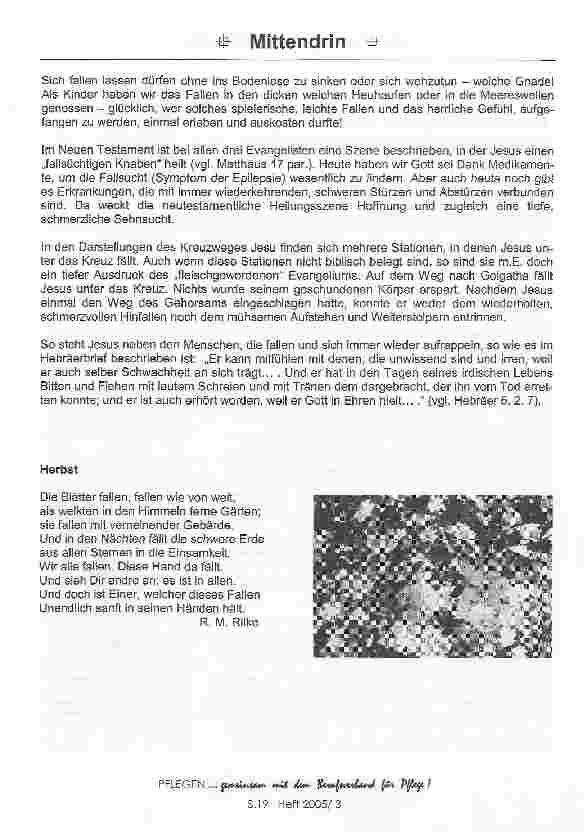 Vorschauseite 2: Die Angst vor dem Fallen