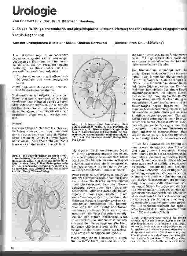 Vorschauseite 1: Urologie 2. Folge: Anatomische und physiologische Daten der Harnorgane