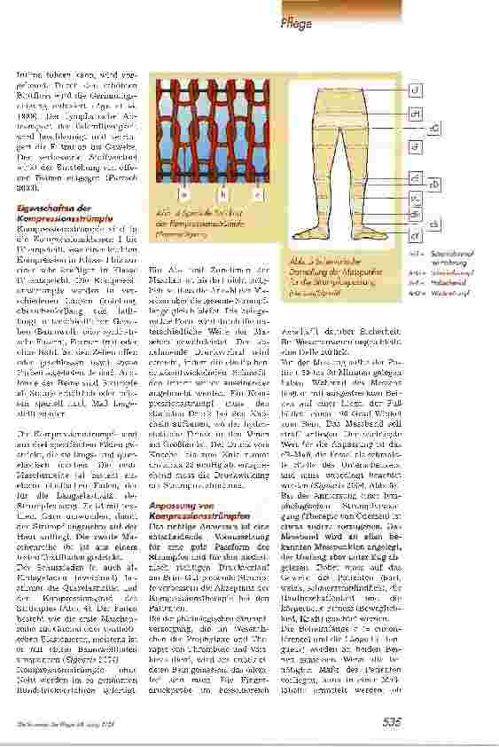 Vorschauseite 3: Weit mehr als bloß Strümpfe!Teil 1: Grundlagen der Thromboembolie-Prophylaxe mit Kompressionsstrümpfen bei Querschnittgelähmten