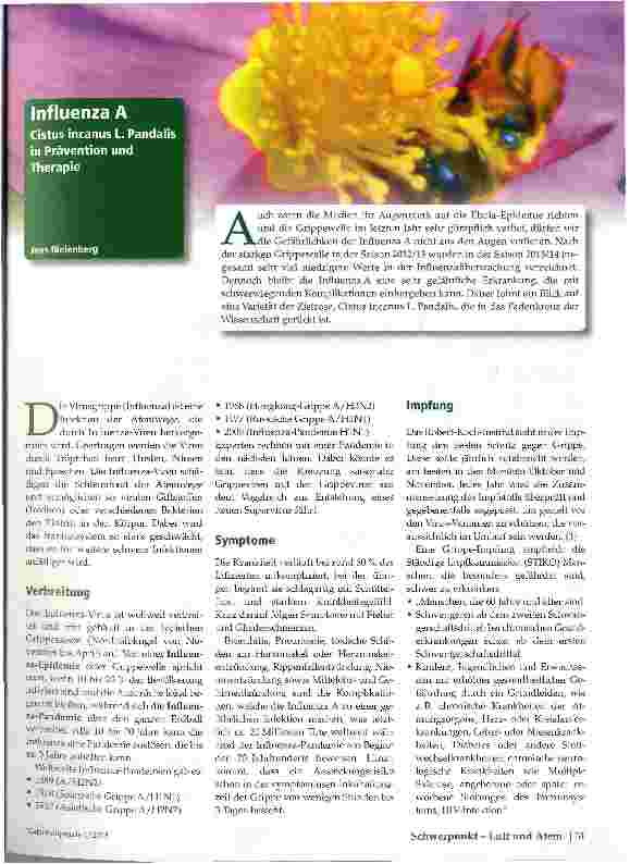 Vorschauseite 1: Influenza A