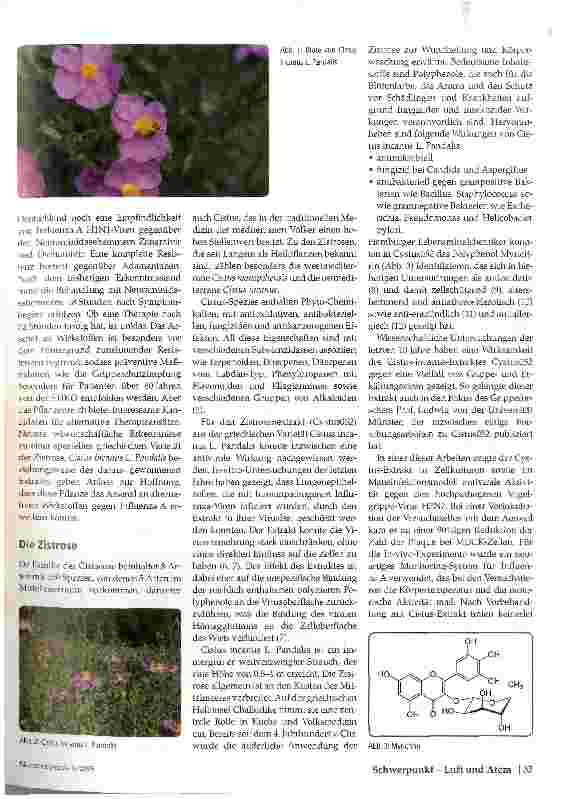 Vorschauseite 3: Influenza A