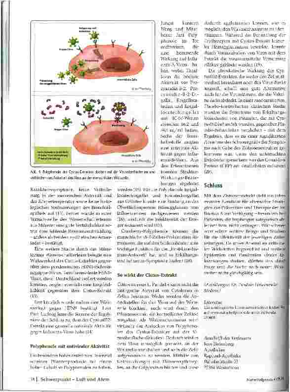 Vorschauseite 4: Influenza A