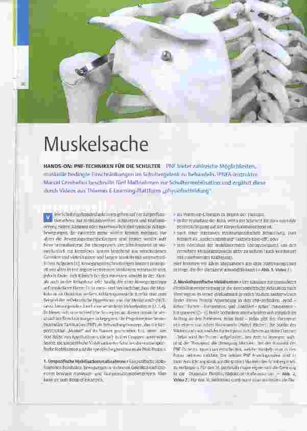 Vorschauseite 1: Muskelsache