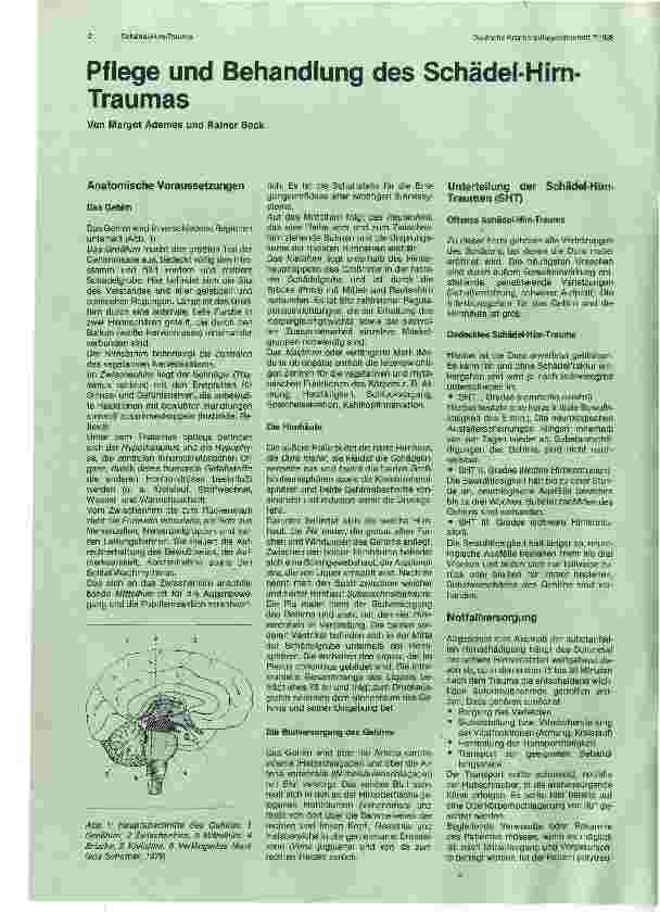 Vorschauseite 1: Pflege und Behandlung des Schädel-Hirn-Traumas