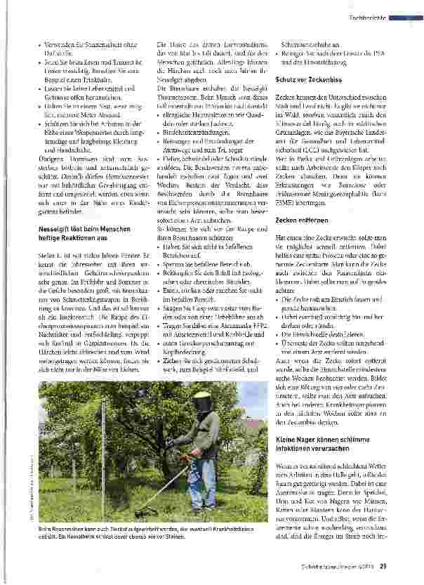 Vorschauseite 2: Stiche, Brennen und Ansteckung
