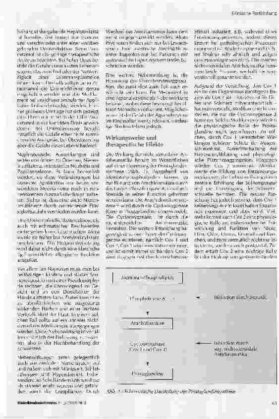 Vorschauseite 2: Die Behandlung von Schmerzen mit Nicht-Opioid-Analgetika im Kindesund Jugendalter-Neue Analgetika gleich bessere Analgetika?