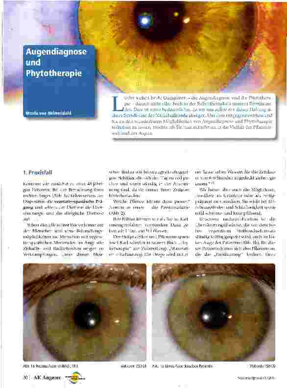 Vorschauseite 1: Augendiagnose und Phytotherapie