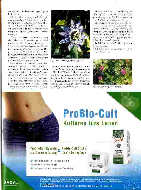 Vorschauseite 2: Augendiagnose und Phytotherapie
