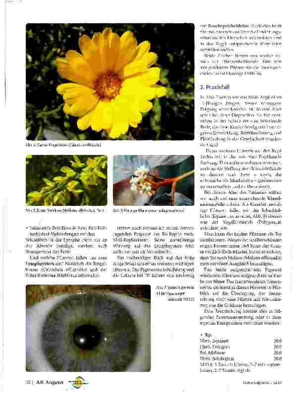 Vorschauseite 3: Augendiagnose und Phytotherapie