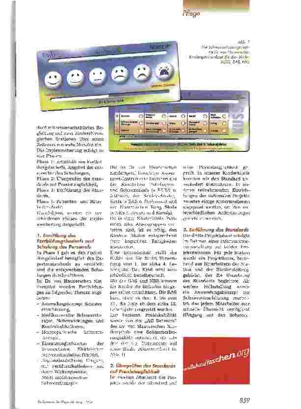 Vorschauseite 2: Ein Indianer kennt keinen Schmerz!?Implementierung des Nationalen Expertenstandards Schmerzmanagement