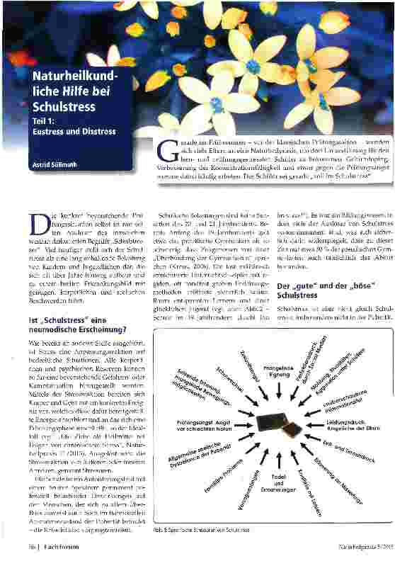 Vorschauseite 1: Naturheilkundliche Hilfe bei Schulstress Teil 1: Eustress und Disstress