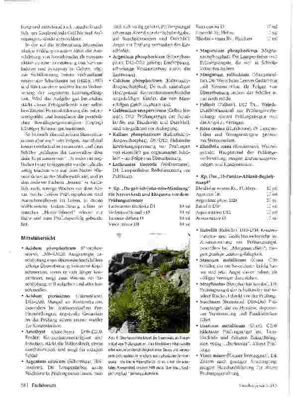 Vorschauseite 3: Naturheilkundliche Hilfe bei Schulstress Teil 1: Eustress und Disstress