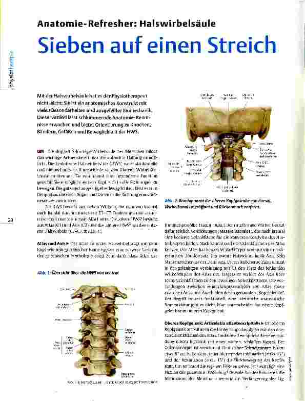 Vorschauseite 1: Anatomie- Refresher: Halswirbelsäule Sieben auf einen Streich