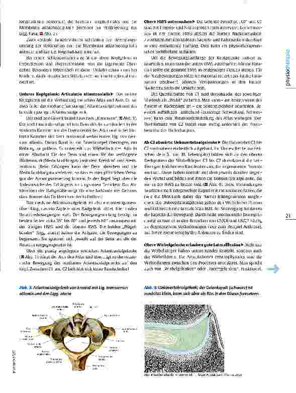 Vorschauseite 2: Anatomie- Refresher: Halswirbelsäule Sieben auf einen Streich