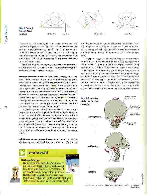 Vorschauseite 3: Anatomie- Refresher: Halswirbelsäule Sieben auf einen Streich