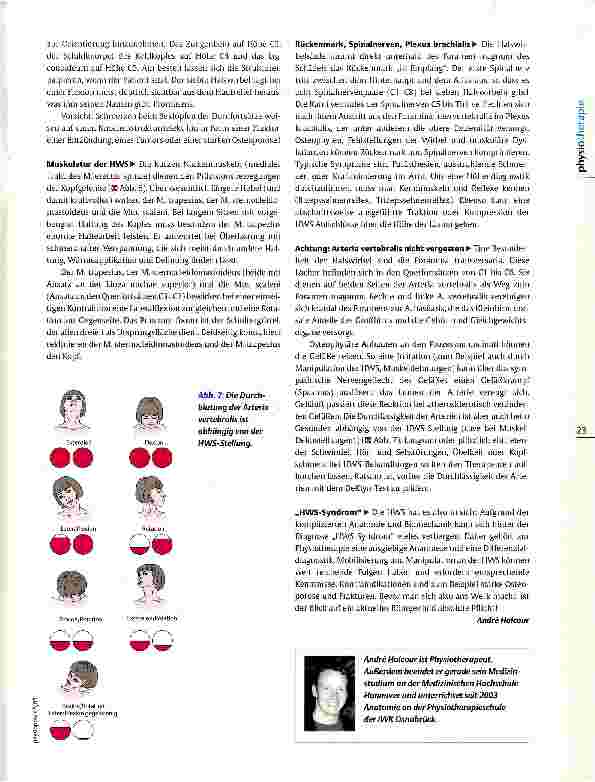 Vorschauseite 4: Anatomie- Refresher: Halswirbelsäule Sieben auf einen Streich