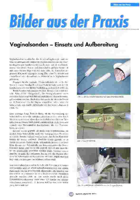Vorschauseite 1: Vaginalsonden - Einsatz und Aufbereitung