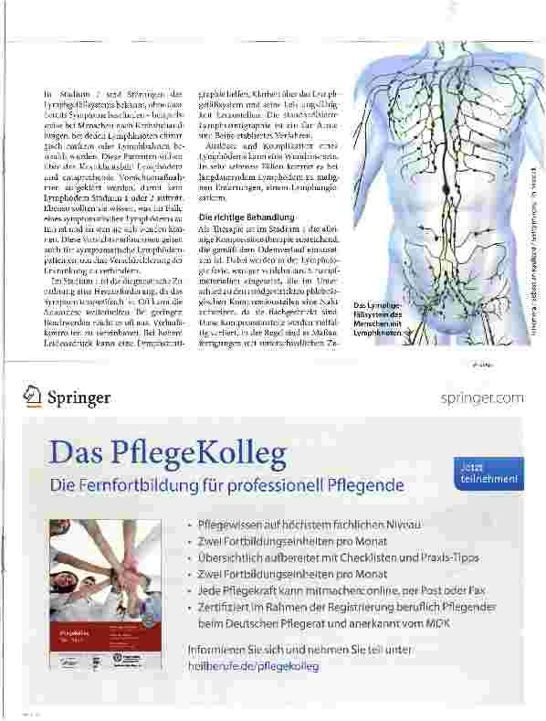 Vorschauseite 2: Flüssigkeitsstau im Gewebe Lymphödeme - ein Transportproblem