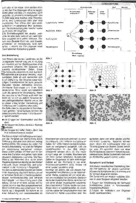 Vorschauseite 2: Maligne Lymphome und Leukämien