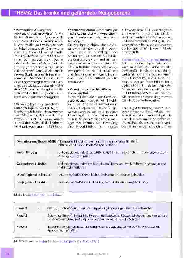 Vorschauseite 2: Hyperbilirubinämie die unterschätzte Gefahr