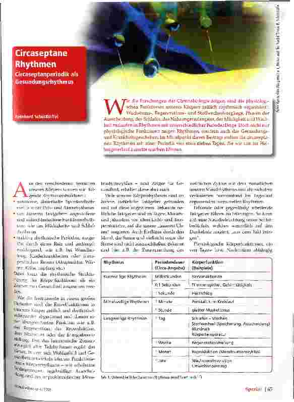Vorschauseite 1: Cicraseptane Rhythmen