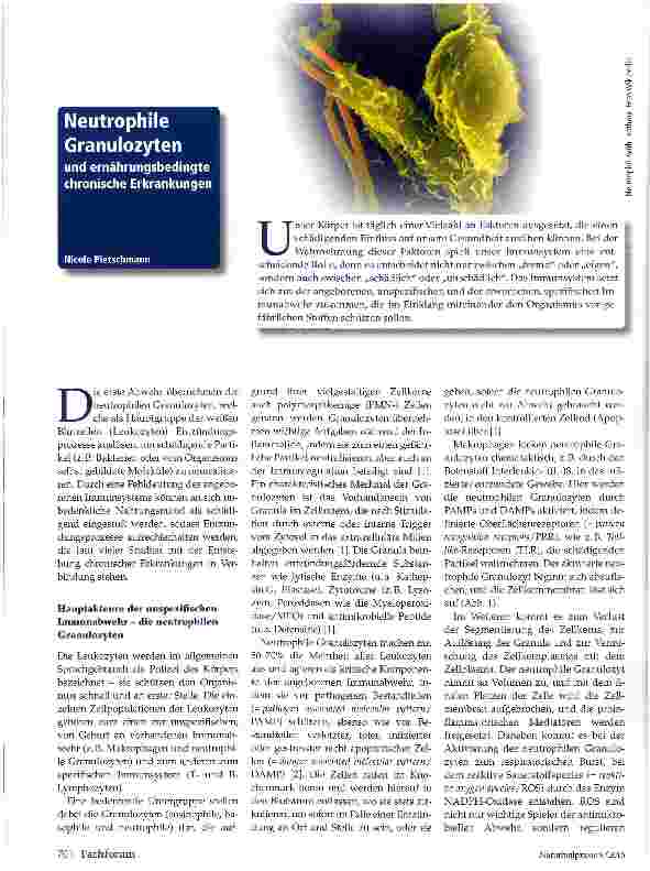 Vorschauseite 1: Neutrophile Granulozyten