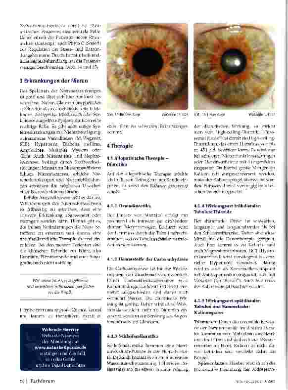 Vorschauseite 3: Unsere Niere Teil 2