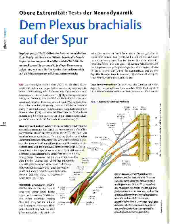 Vorschauseite 1: Obere Extremität: Tests der Neurodynamik Dem Plexus brachialis auf der Spur