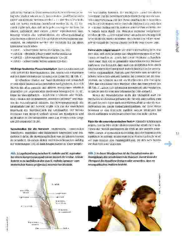 Vorschauseite 2: Obere Extremität: Tests der Neurodynamik Dem Plexus brachialis auf der Spur
