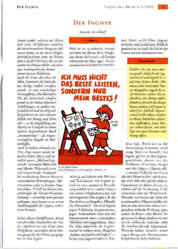 Vorschauseite 1: DER INGWER