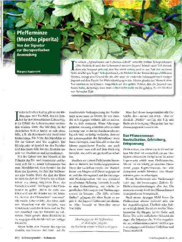 Vorschauseite 1: Pfefferminze (Mentha piperita)