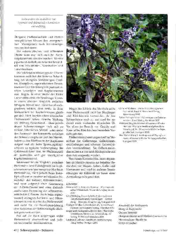 Vorschauseite 3: Pfefferminze (Mentha piperita)
