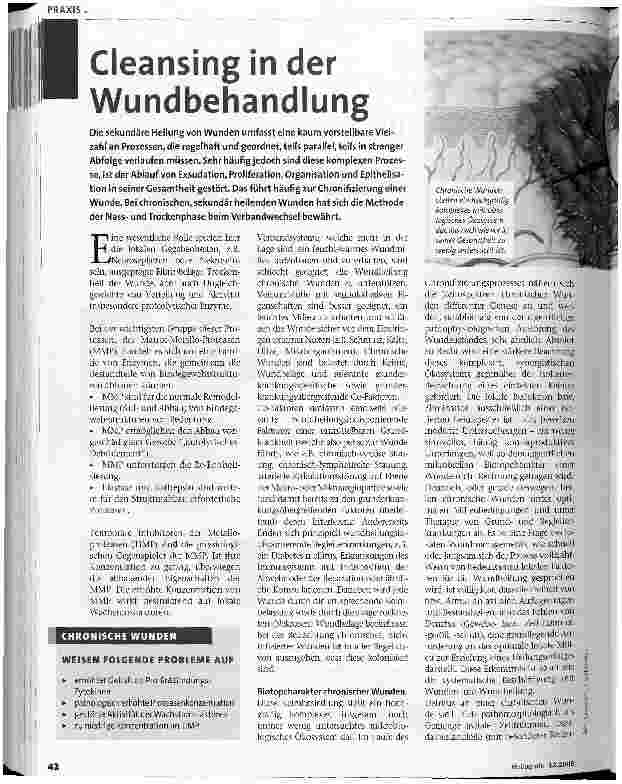 Vorschauseite 1: Cleansing in der Wundbehandlung