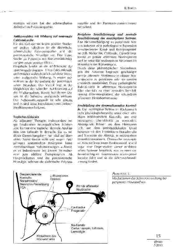 Vorschauseite 4: THERAPIE NEUROPATHISCHER SCHMERZEN: ÜBERHOLTE KONZEPTE UND NEUE ENTWICKLUNGEN