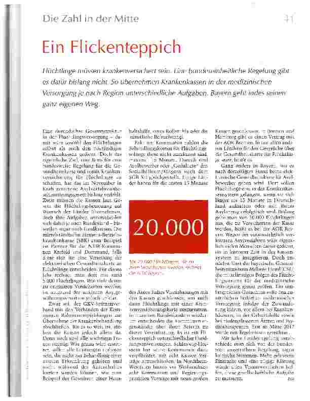 Vorschauseite 1: Ein Flickenteppich