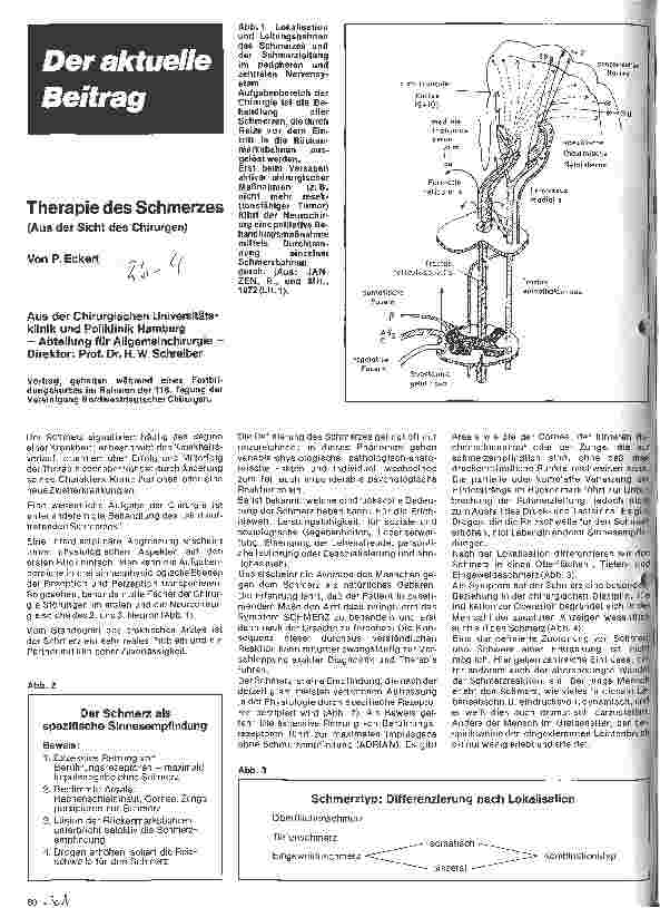 Vorschauseite 1: Therapie des Schmerzes Aus Sicht des Chirurgen