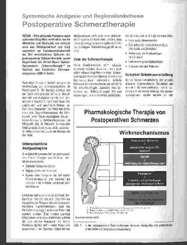 Vorschauseite 1: Systemische Analgesie und RegionalanästhesiePostoperative Schmerztherapie